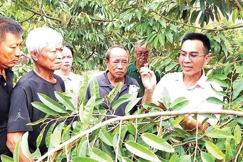 Hiệu quả lớn từ chương trình đào tạo nghề cho lao động nông thôn