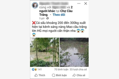 Triệu tập thanh niên đưa tin bịa đặt về cá sấu 'khổng lồ'
