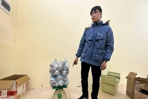 Công an bắt giữ nam thanh niên mang 29 quả pháo nổ đi bán