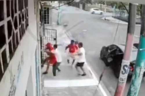 Hai chú chó trung thành bảo vệ chủ nhân của mình khỏi một vụ bắt cóc