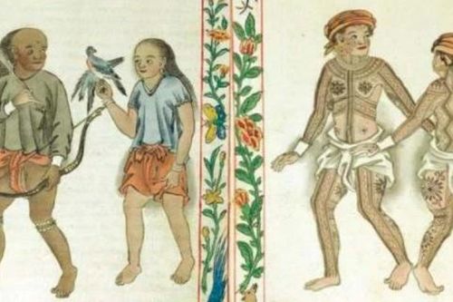 Những chiếc răng đính vảy vàng