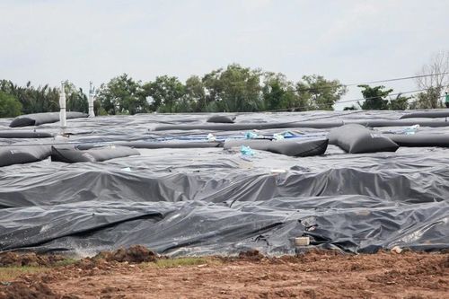 Vĩnh Long nghiên cứu di dời dân khu vực gần bãi rác An Hiệp