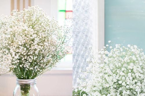 Mãn thiên tinh và ý nghĩa phong thủy: Hoa nhỏ, phúc khí lớn