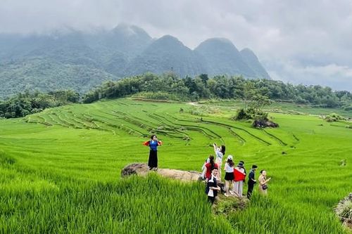 Khung hành động du lịch xanh đến năm 2030: Từ nhận thức đến hành động đồng bộ