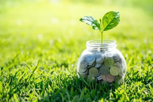 Dư nợ tín dụng xanh đạt khoảng 750.000 tỷ đồng