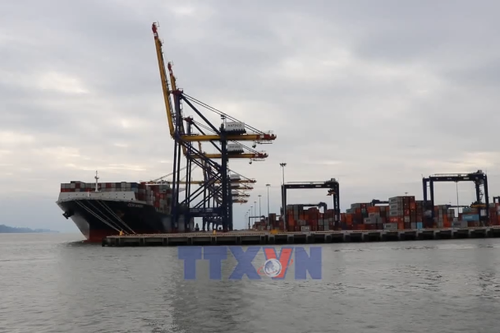 TEU thứ 2 triệu thông qua Cảng Hải Phòng trong năm 2025