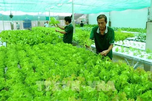 Kết nối hệ sinh thái kinh tế - nông nghiệp phát triển thương hiệu Việt
