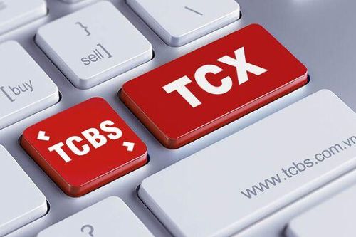 TCBS muốn vay 50 triệu USD, cho phép chuyển đổi thành cổ phần