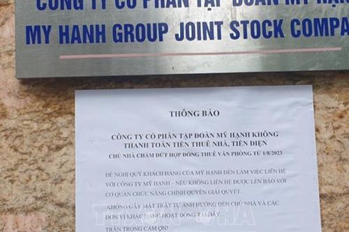 Truy tố Chủ tịch Tập đoàn Mỹ Hạnh chiếm đoạt tiền góp vốn từ dự án cây sâm Ngọc Linh