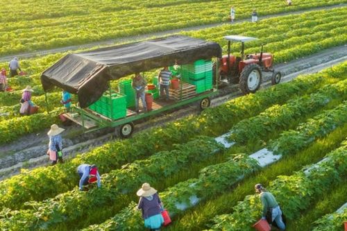 Dự án xanh, tuần hoàn sắp được hỗ trợ lãi suất 2% từ ngân sách