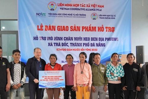 Hỗ trợ sinh kế cho hộ nghèo xã Trà Đốc từ mô hình nuôi heo đen địa phương