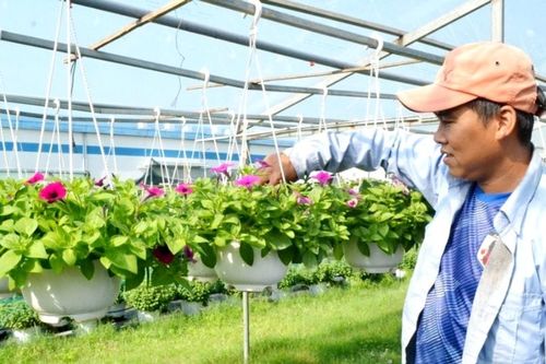 Kinh tế nông nghiệp tạo sức bật mới