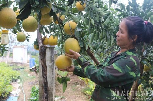Chi Lăng: Nông thôn mới không gian mới