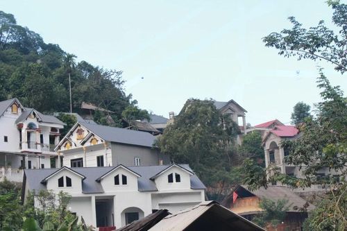 Phố trong rừng