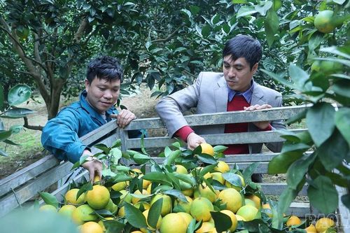 Xã Phúc Khánh: Thách thức trong xây dựng nông thôn mới sau sáp nhập