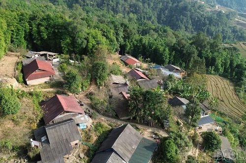 Giải bài toán thoát nghèo ở Ngải Trồ