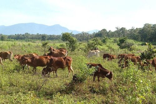 Giảm nghèo bền vững gắn với xây dựng nông thôn mới ở Hàm Thạnh