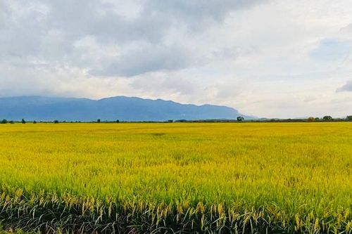 Nền tảng vững chắc để Nghị Đức tiến tới nông thôn mới nâng cao