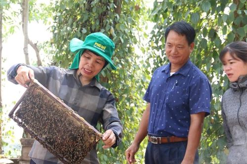 Đắk Mil đổi thay trên hành trình xây dựng nông thôn mới