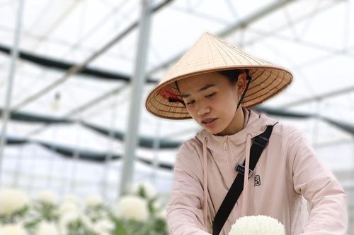 Lâm Đồng tạo sinh kế bền vững cho nông thôn mới