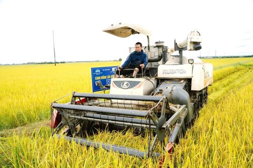 Doanh nghiệp hướng đến nông nghiệp xanh, bền vững