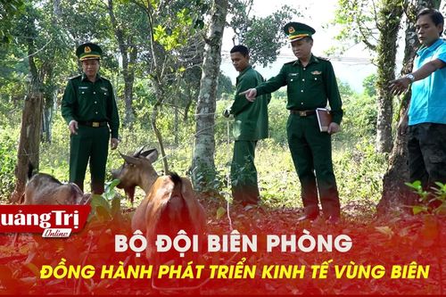 Bộ đội biên phòng đồng hành phát triển kinh tế vùng biên