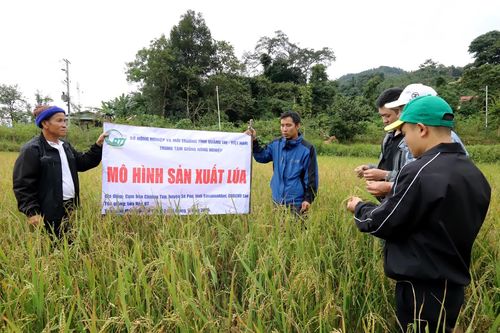 Tổng kết hỗ trợ phát triển sản xuất nông nghiệp tại cụm bản Chiêng Túp, tỉnh Savannakhet