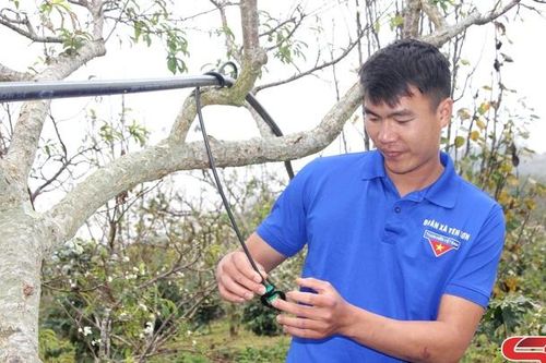Làm giàu trên đất dốc