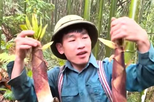 Hái lộc rừng đầu mùa