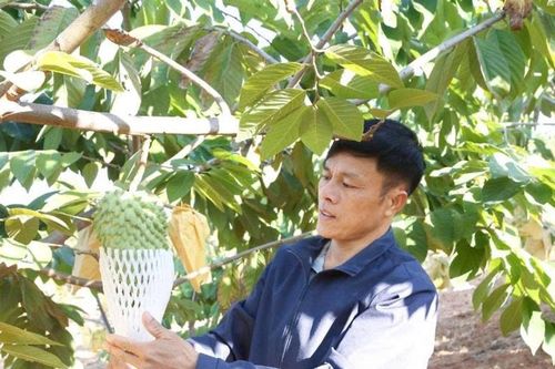 Sơn La: Kinh tế tập thể tiếp sức, nâng tầm nông thôn mới