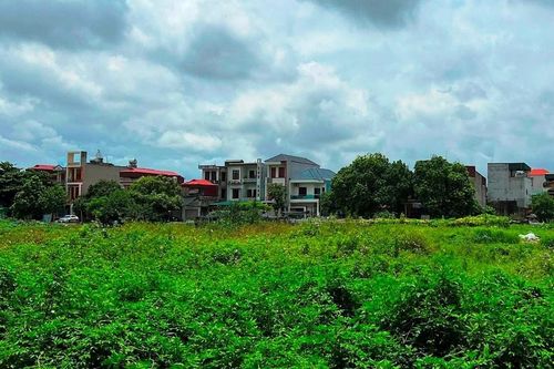 Hải Phòng: Giao đất thực hiện Dự án đầu tư xây dựng Khu dân cư, dịch vụ thương mại tại phường Thanh Bình