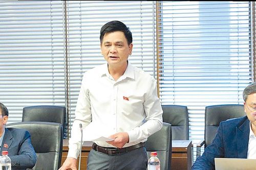 Sớm sửa đổi, bổ sung Luật Lâm nghiệp
