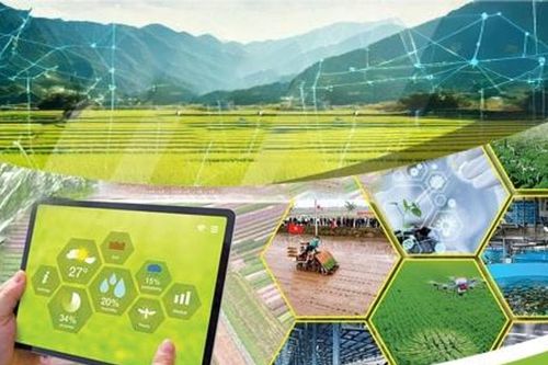 Trung tâm đổi mới sáng tạo - chìa khóa phát triển mới của địa phương