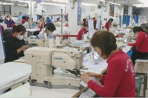 Thích ứng linh hoạt để bảo vệ thành tựu xuất khẩu
