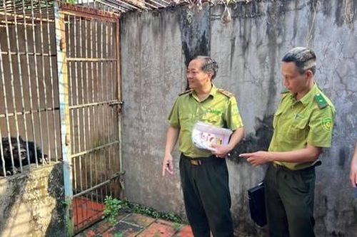Công an và Kiểm lâm phát hiện cơ sở nuôi nhốt trái phép nhiều cá thể hổ, báo, gấu tại TPHCM