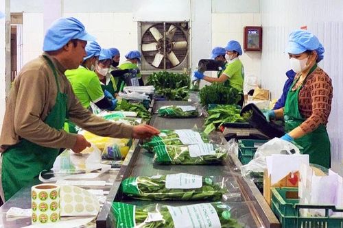 Mở rộng thị trường, ổn định đầu ra nông sản