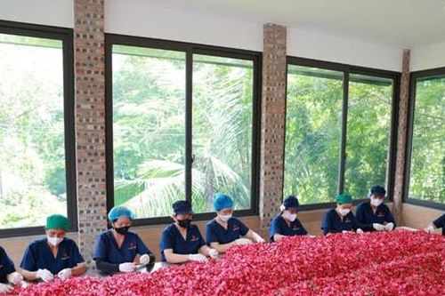 Sinh kế bền vững cho vùng rốn lũ Xuân Mai