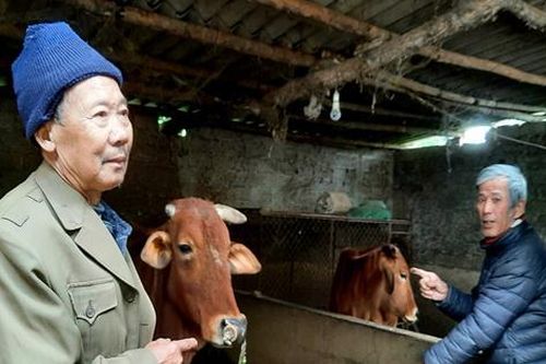 Vượt khó, thoát nghèo, làm kinh tế giỏi