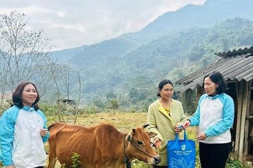 Đồng hành cùng phụ nữ biên cương