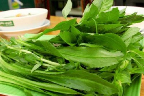 Loại rau rẻ tiền, mùa đông người Việt nên ăn để 'quét sạch mỡ máu', ngăn ngừa bệnh mạn tính