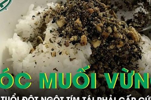 Ăn cơm muối vừng, bé 4 tuổi đột ngột tím tái phải cấp cứu