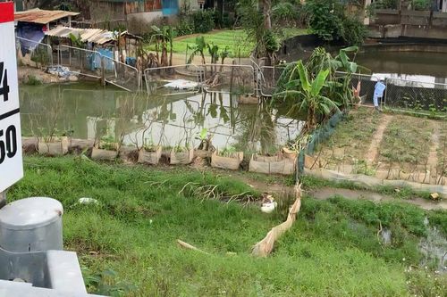 Tự mở lối lên cao tốc: Cần xử lý nghiêm