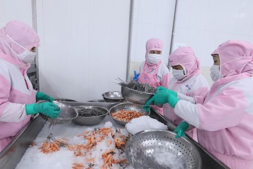 Ngành tôm đối diện nhiều áp lực