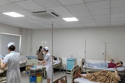 Bộ Y tế chỉ đạo điều tra vụ nghi ngộ độc bánh mì ở Lâm Đồng