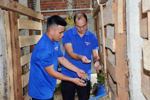 Lan tỏa tinh thần khởi nghiệp của thanh niên nông thôn
