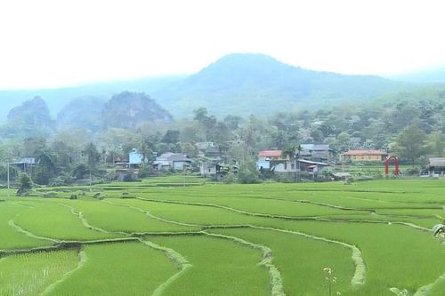 Bản Nghèo hôm nay: Ánh sáng từ ý Đảng, lòng dân