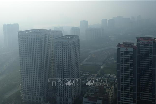 Chặn nguồn bụi đô thị