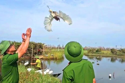 Nỗ lực ngăn chặn vi phạm về động vật hoang dã và khai thác thủy sản tận diệt