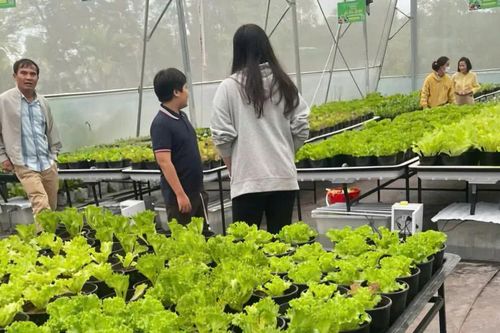 Công nghệ cao giúp nông dân Huế thoát nghèo