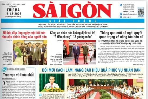 Thành ủy TPHCM yêu cầu đưa nội dung đọc báo của Đảng vào sinh hoạt Đảng